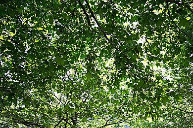 《银河旅店》抢先体验现已正式上线！